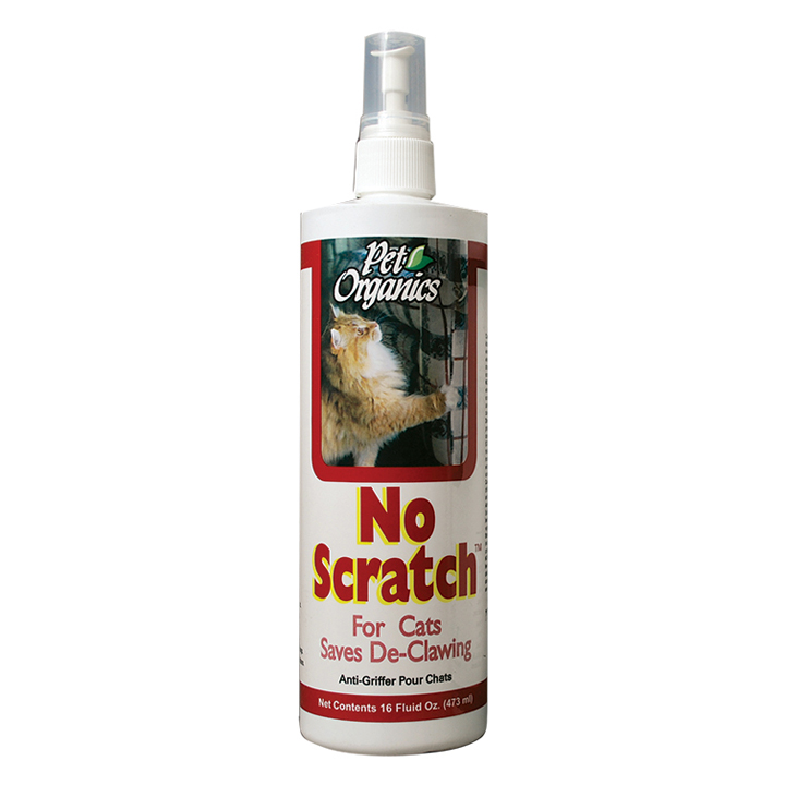 Best No Scratch Cat Spray Quotes Lovely